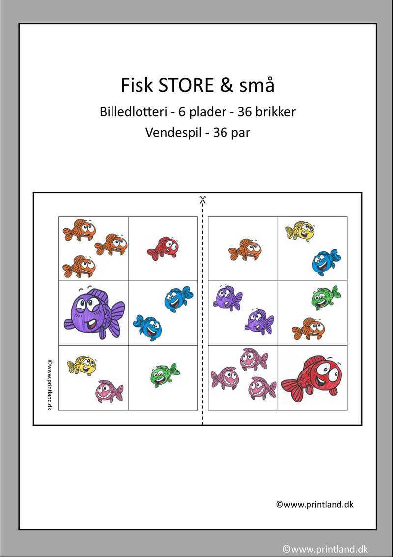 a29. fisk store og små