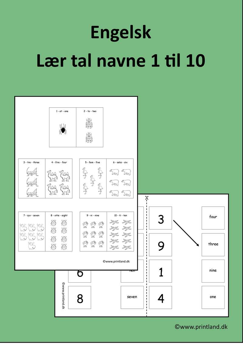 a12. lær tal navne